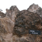 Thumbnail of post image 071